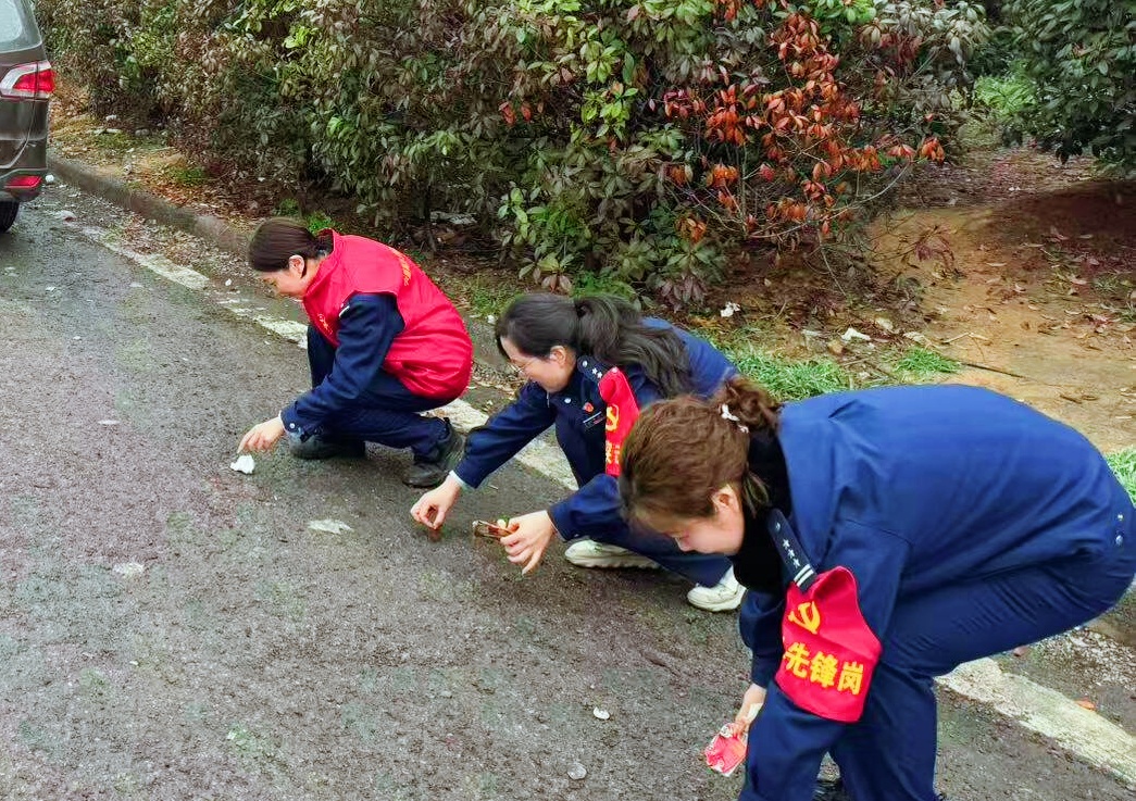 1773884888890.jpg 1773884888890.jpg